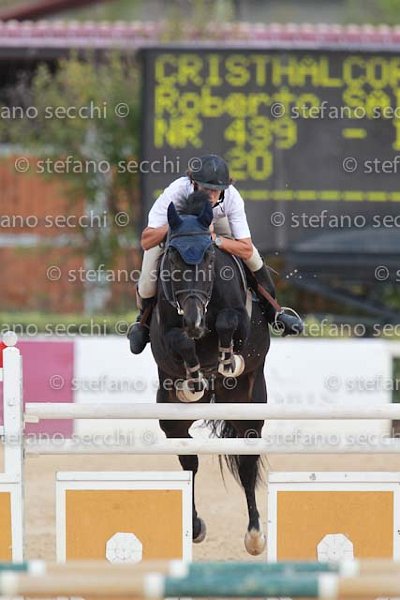 SAIBENE_CRISTHALCOLOR_GIO CAV 2011_SS3_9474.jpg